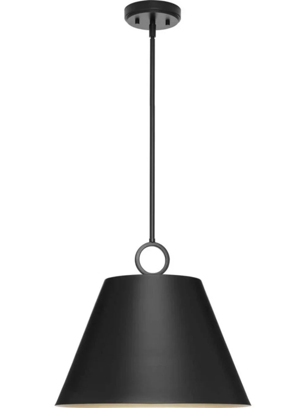Progress Lighting Parkhurst Pendant Light 18 in, Matte Black